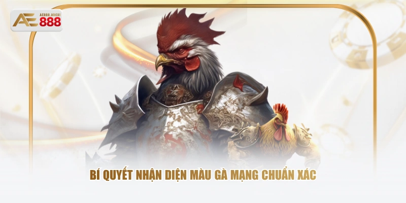 Bí quyết nhận diện màu gà mạng chuẩn xác 