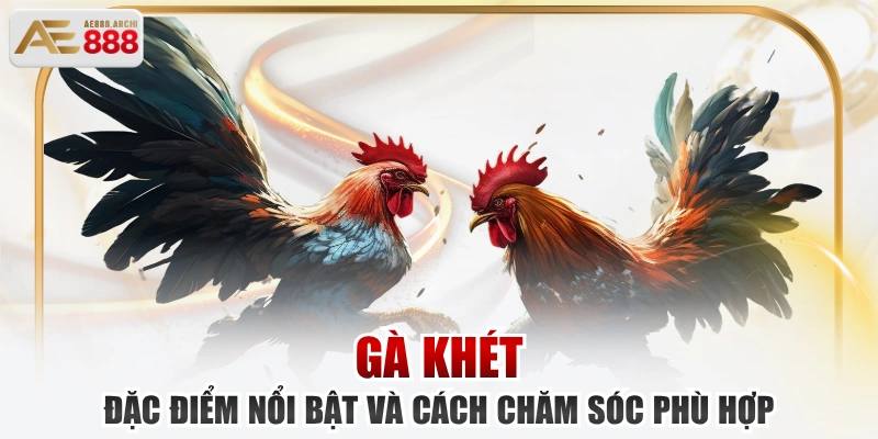 Gà Khét | Đặc Điểm Nổi Bật Và Cách Chăm Sóc Phù Hợp