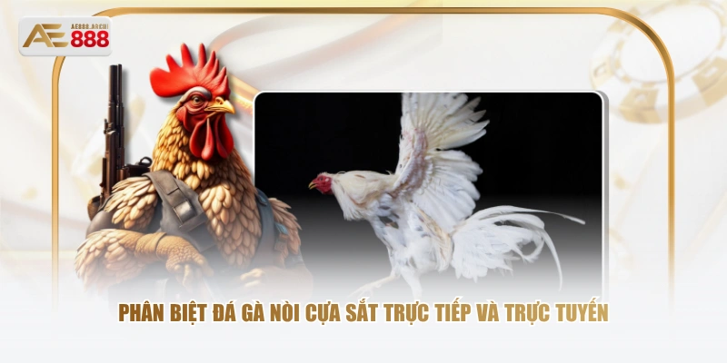 Phân biệt đá gà nòi cựa sắt trực tiếp và trực tuyến 